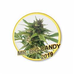 MR. BIG CANDY - Imagen 1