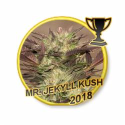 Mr. Jekyll Kush Regular de Mr. Hide Seeds