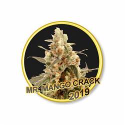 Mr. Mango Crack Regular de Mr. Hide Seeds