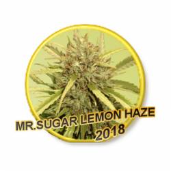 Mr. Sugar Lemon Haze Regular de Mr. Hide Seeds