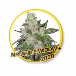 Mr. White Widow +