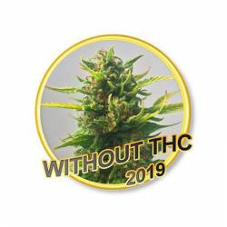 Without Thc Cbd