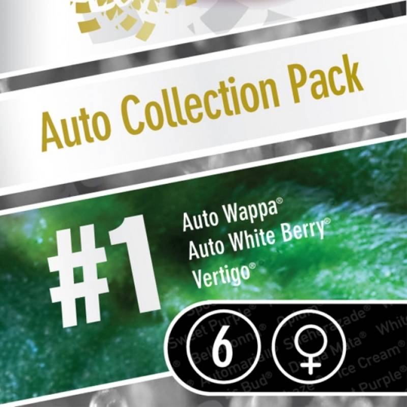 AUTO COLLECTION PACK #1 - Imagen 1
