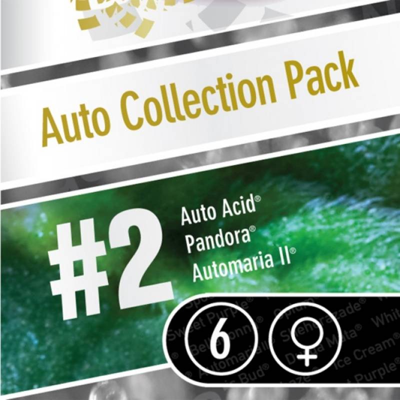 Auto Collection Pack #2 de Paradise Seeds