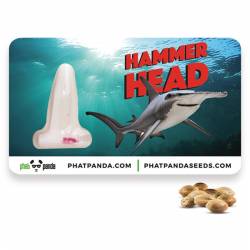 Hammerhead