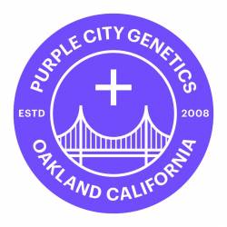 Blue Dream X Key Lime Pie de Purple City Genetics