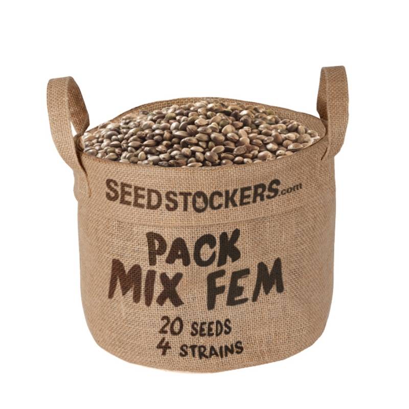 Pack Mix de Seed Stockers