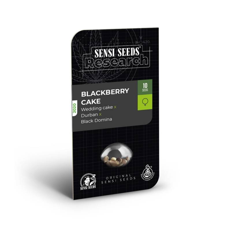 Blackberry Cake de Sensi Seeds Research