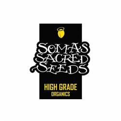 Somint Cookies Feminizada de Soma Seeds