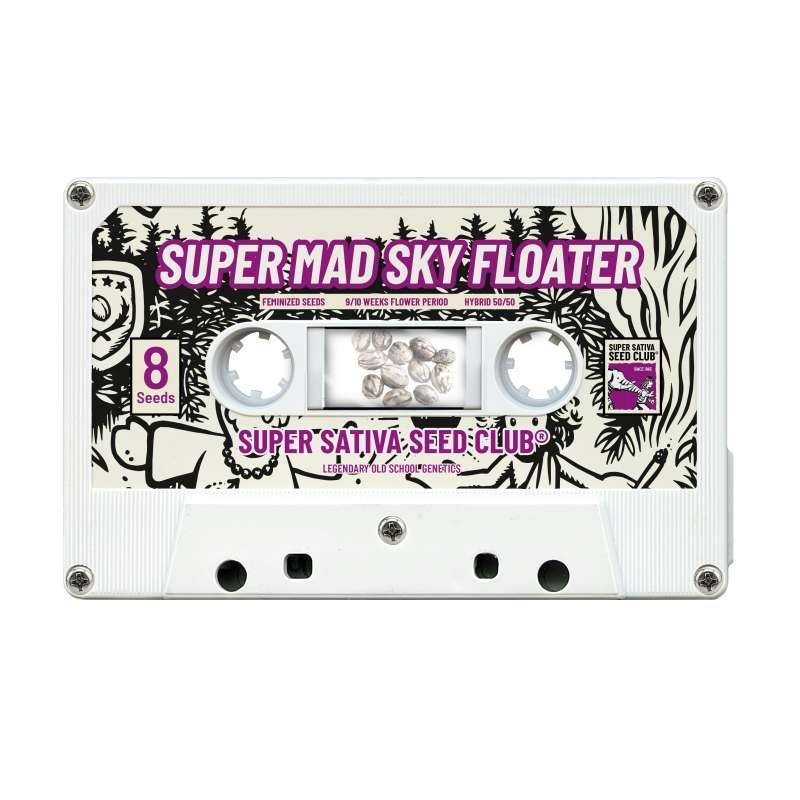 Super Mad Sky Floater de Super Sativa Seed Club