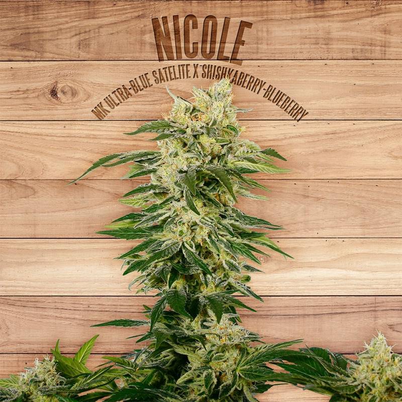 Nicole de The Plant Organic Seeds