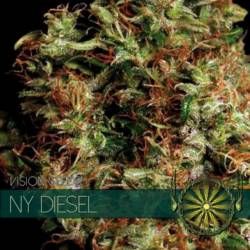 Ny Diesel Feminizada (Etiqueta Francesa) de Vision Seeds