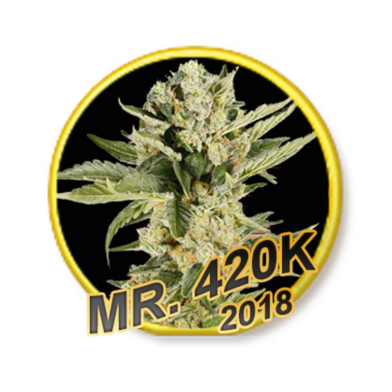 MR 420K (USA STRAINS) Feminizada de Mr. Hide Seeds