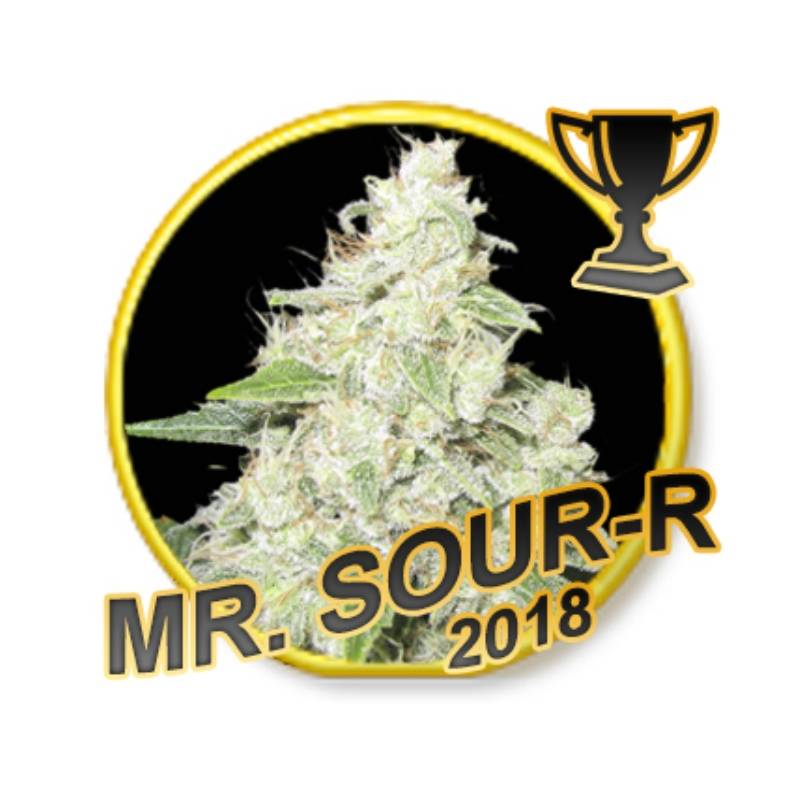 MR SOUR-R (USA STRAINS) Feminizada de Mr. Hide Seeds