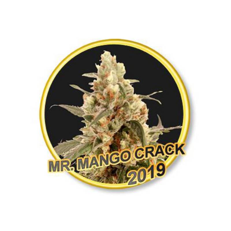MR. Mango Crack Feminizada de Mr. Hide Seeds