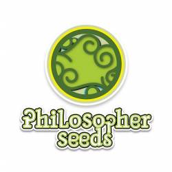 Agent Orange Regular de Philosopher Seeds