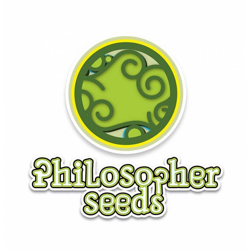 Agent Orange Regular de Philosopher Seeds