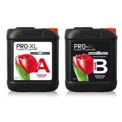 BLOOM A&B de Pro XL