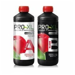 BLOOM A&B de Pro XL