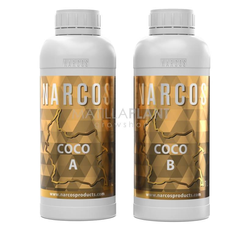 Coco A+ B de Narcos