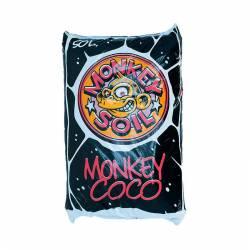 Monkey Coco Monkey Soleil