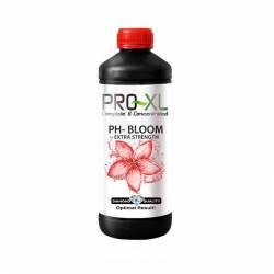 Ph- Bloom