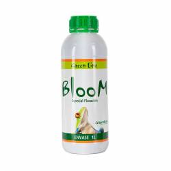 Bloom Green Line de Agrobeta