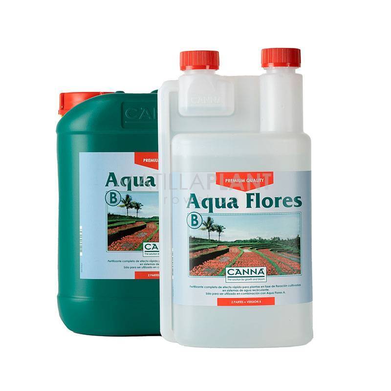 Aqua Flores B de Canna