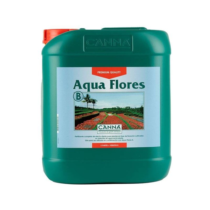 Aqua Flores B de Canna