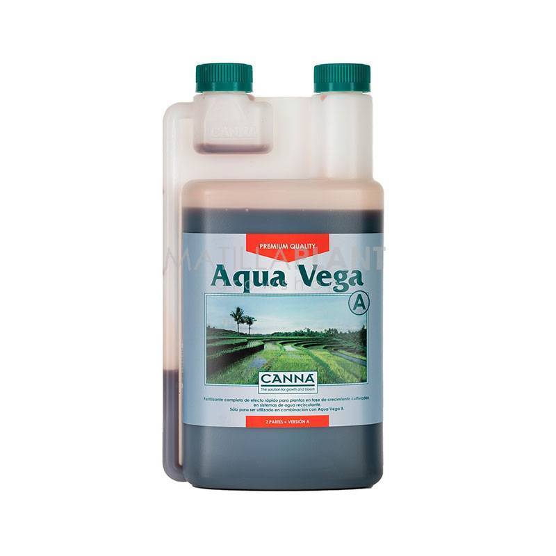 Aqua Vega A de Canna