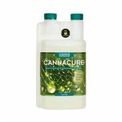 Canna Cure