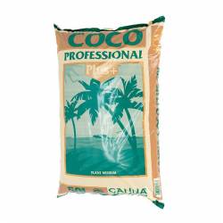 Canna Terra Profesional...