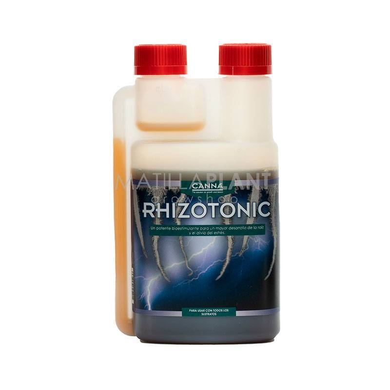 Rhizotonic de Canna