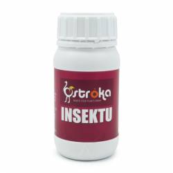 Insektu