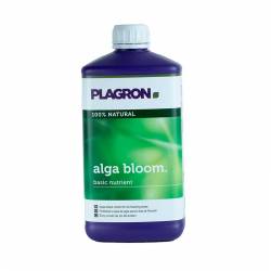 Alga Bloom