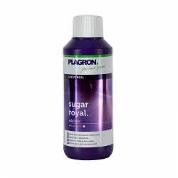 Sugar Royal de Plagron