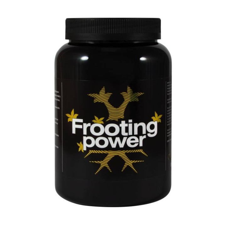 Frooting Power de B.A.C.