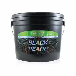 Black Pearl de Grotek