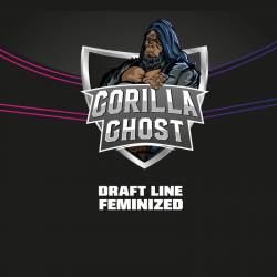 Gorilla Ghost