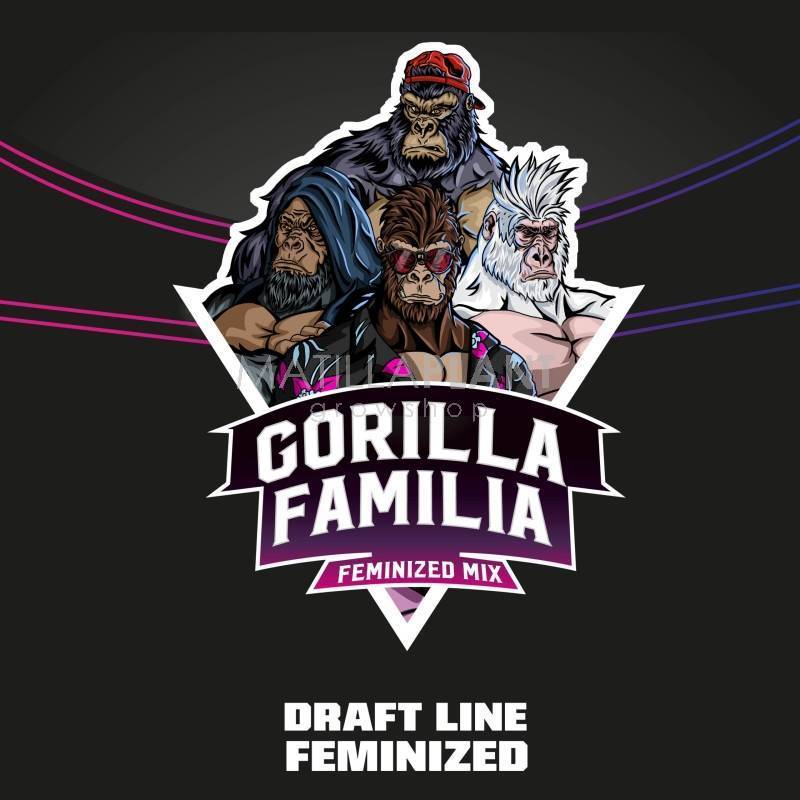 Gorilla Familia - BSF Seeds