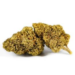 AK47 Flores - 5G