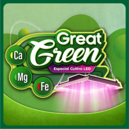 Great green Agrobeta en MatillaPlant
