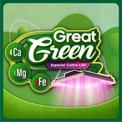 Great Green