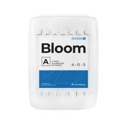 bloom a athena