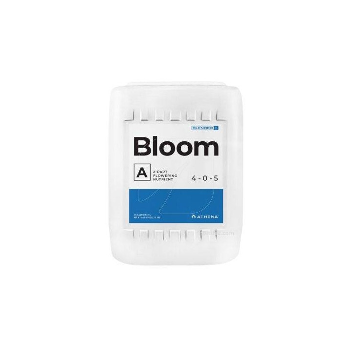 bloom a athena