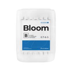 bloom B athena grande