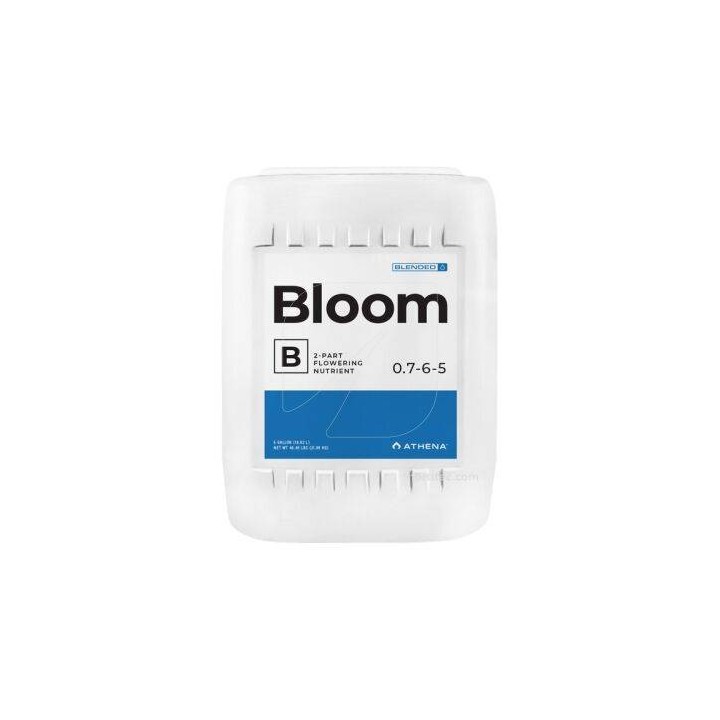 bloom B athena grande