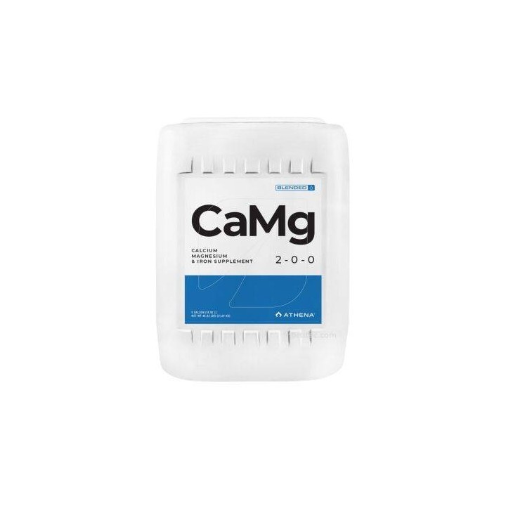 CaMg Athena grande