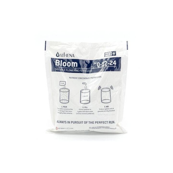 probloom athena pequeño