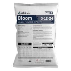 probloom mediano